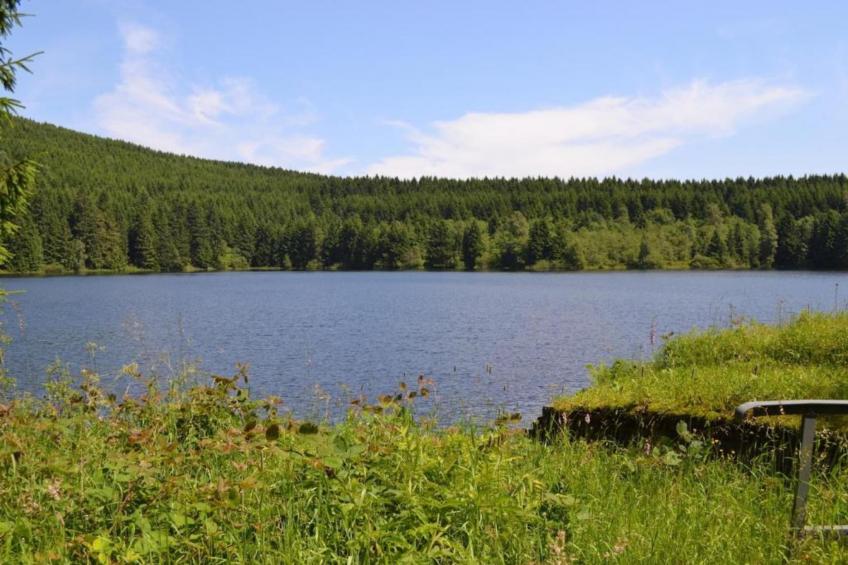 Ferienwohnung Stern - Harz Wildemann - foto 36