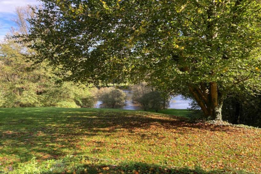 Altillac - La Rivière - foto 27