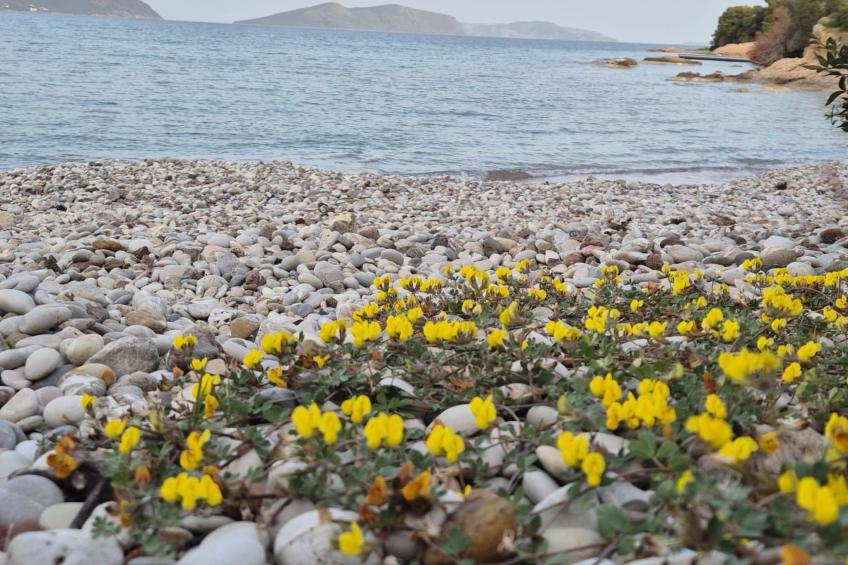 "Villa Newlands" - Pool, Meer und Inseln - foto 38