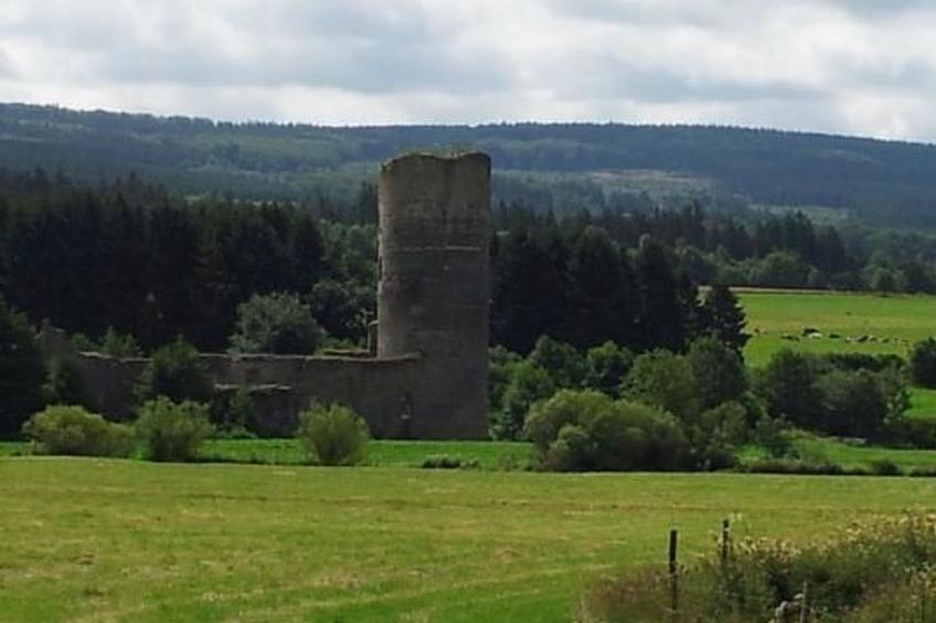 Naturblick - foto 17