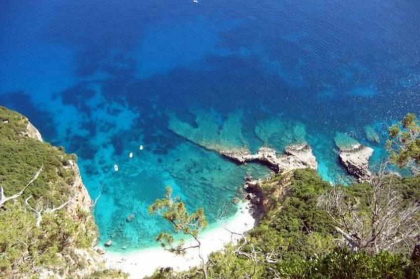 Haustierfreundliches Apartment, mit Meerblick - foto 20