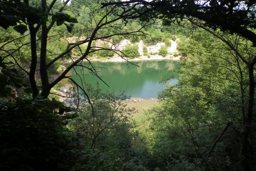 Feriendorf Waldbrunn - foto 29