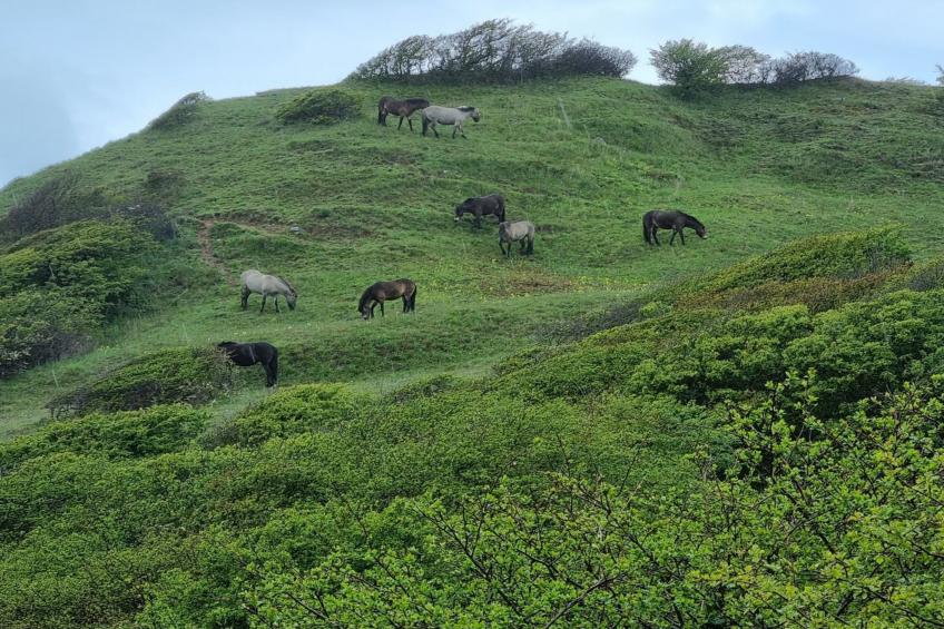 "Miona" - 725m from the sea in Sealand - foto 4