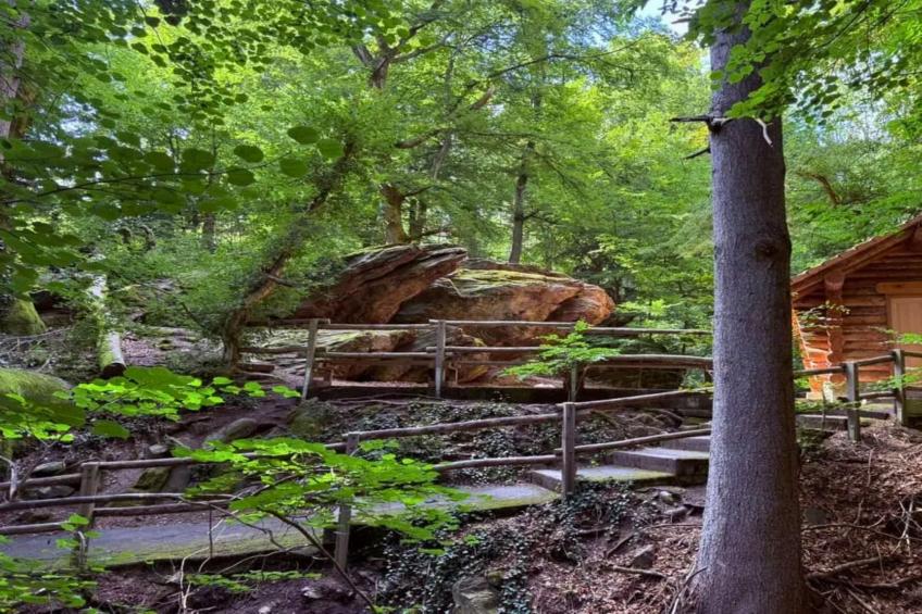 Apartment für Monteure oder Reisende - foto 31