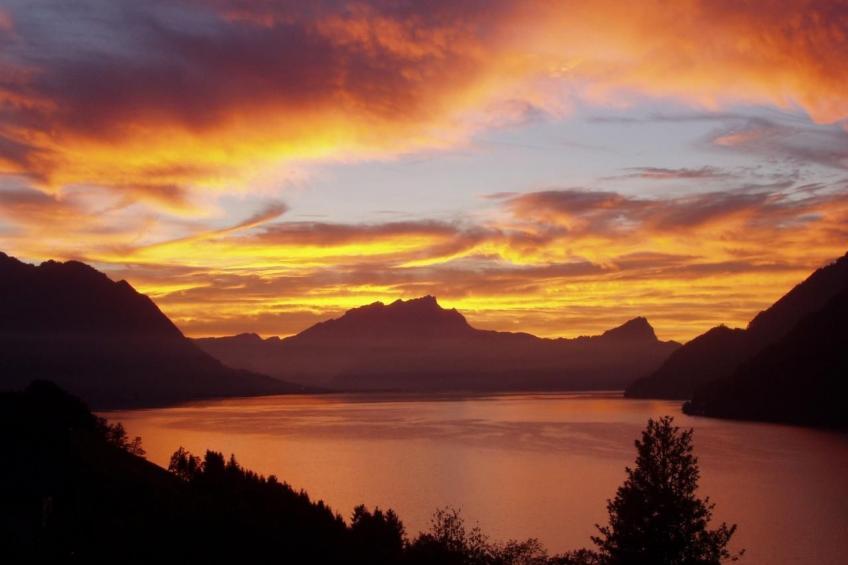 Top Ferienhaus - foto 12