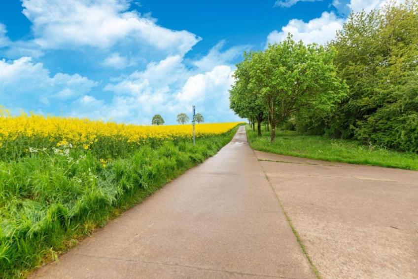 Maginifique maison de vacances pour 8 adultes à Tilf - foto 39