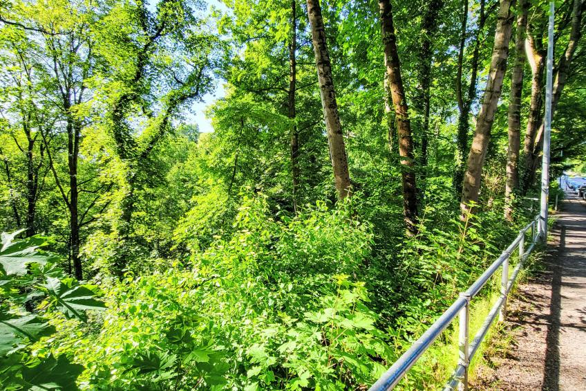 Villa Emma und Lotte - foto 31