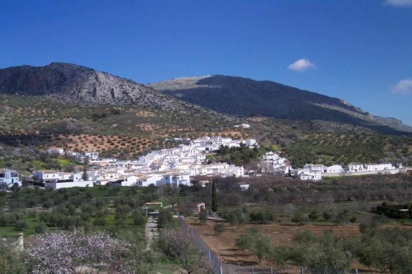 Cerro de la Cruz - foto 35