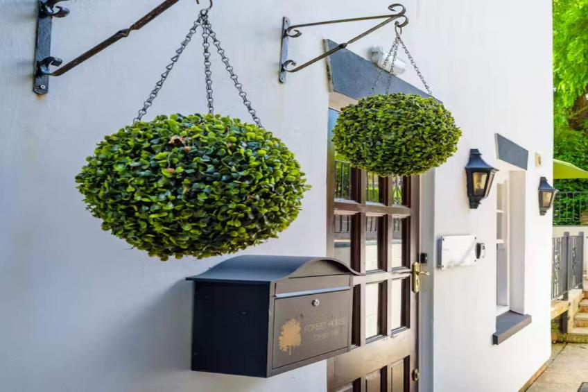 Forest House - foto 7