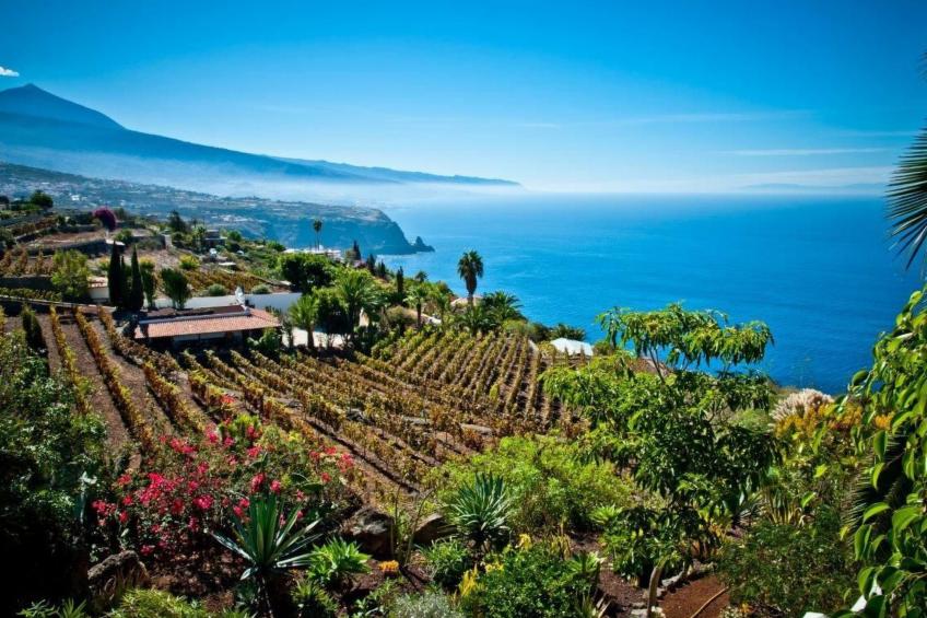 El Refugio - foto 10