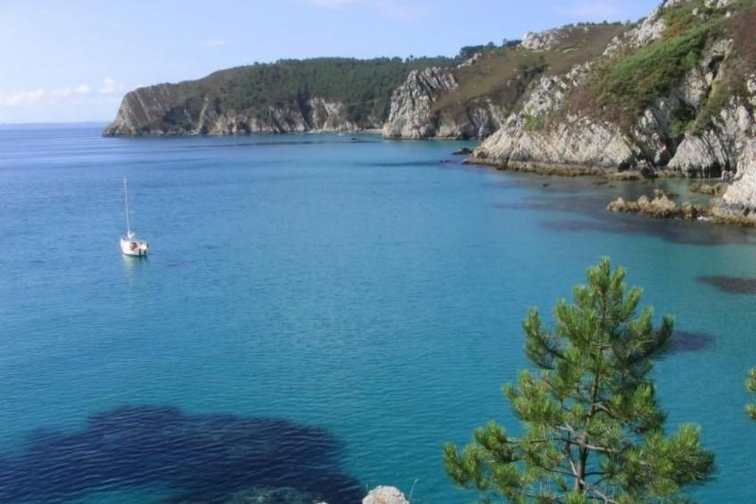 "Les Hortensias" (Die Hortensien) - foto 26