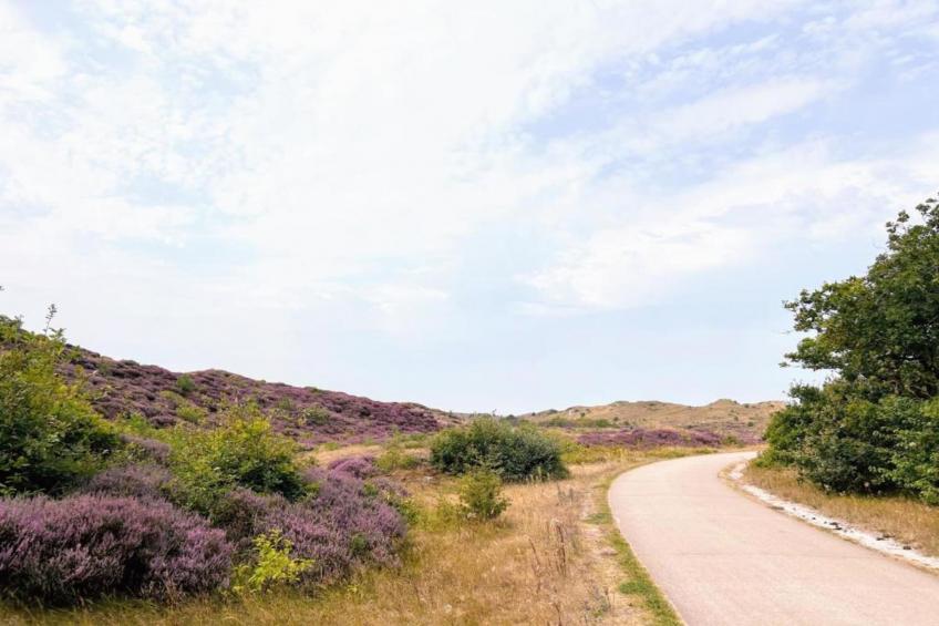 De Veldwachter - foto 30