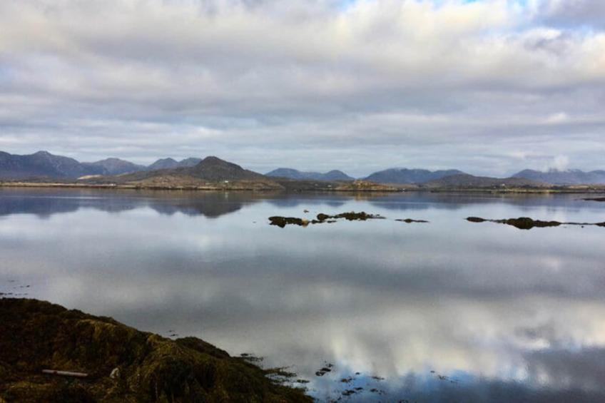 Maison à Cashel Galway - foto 34