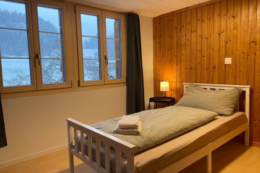 Alpine Home Streich - foto 8