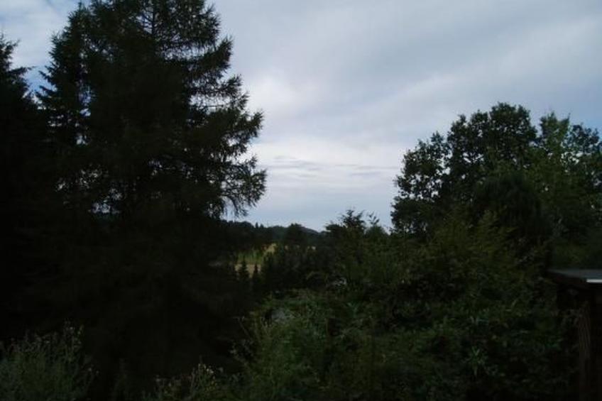 Eifelcottage Rehwiese - foto 15