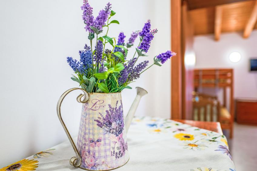 Il Cerchio - foto 24