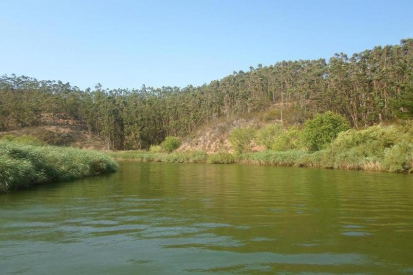 Casa da Adega - foto 27