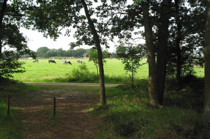 Vakantiepark Schaijk 6 - foto 37