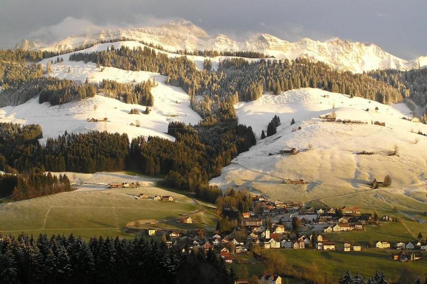 Alpakahof Ferien - foto 36