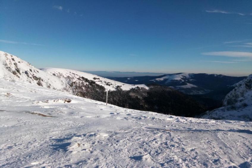 LA POMME DE PIN 2  Appartement avec terrasse - foto 25