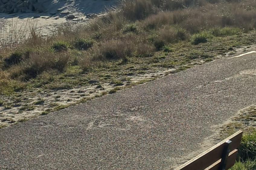 Gemütliches Chalet mit Terrasse - foto 21