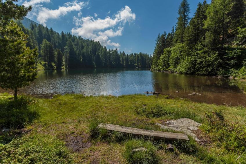 Alpenpark Turrach 15 - foto 19