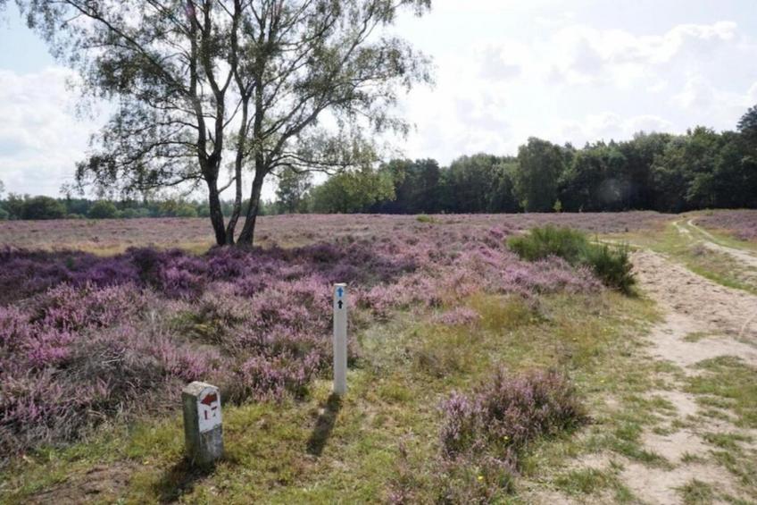 Hof van Salland - foto 23