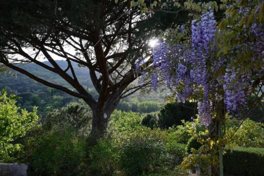 La Palmeraie - foto 21