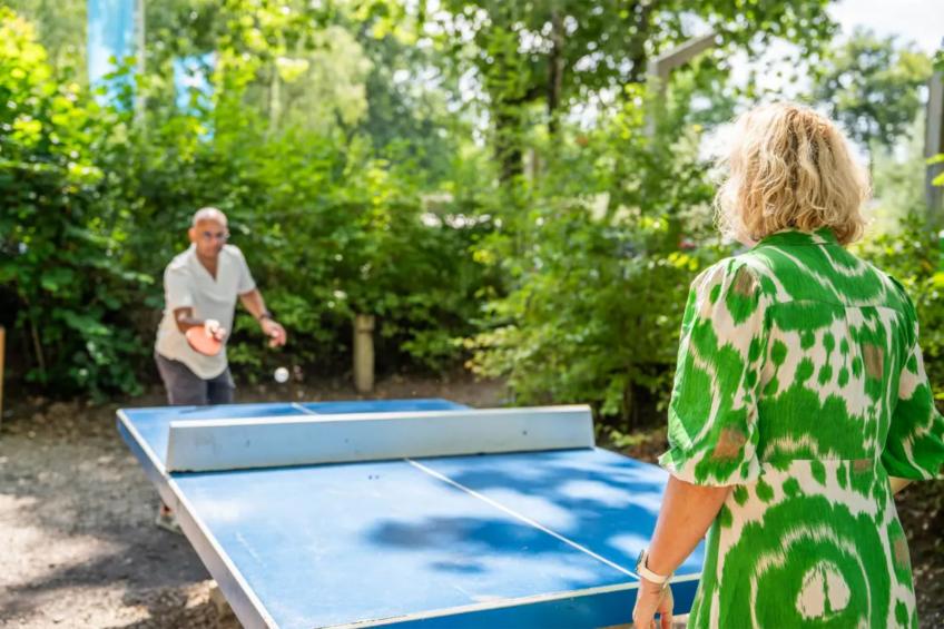 Veluwehoeve 4 personen - foto 20