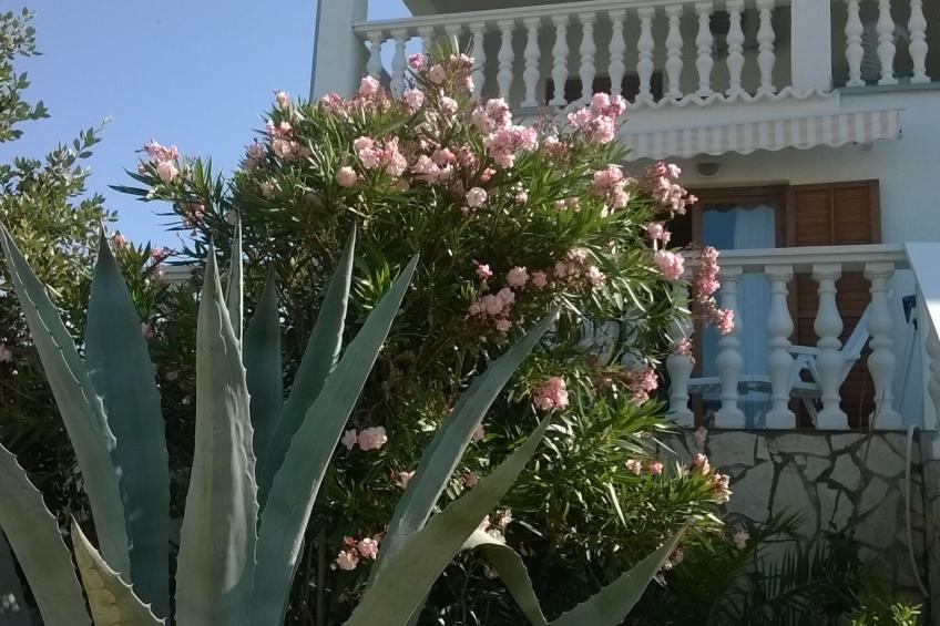 Apartment mit Meerblick - foto 25