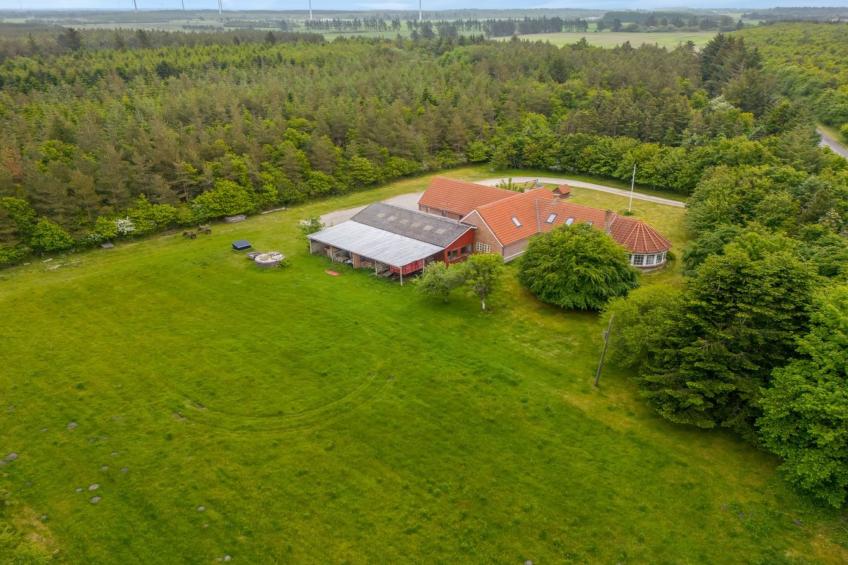 "Wilmar" - 1km to the inlet in Western Jutland - foto 4