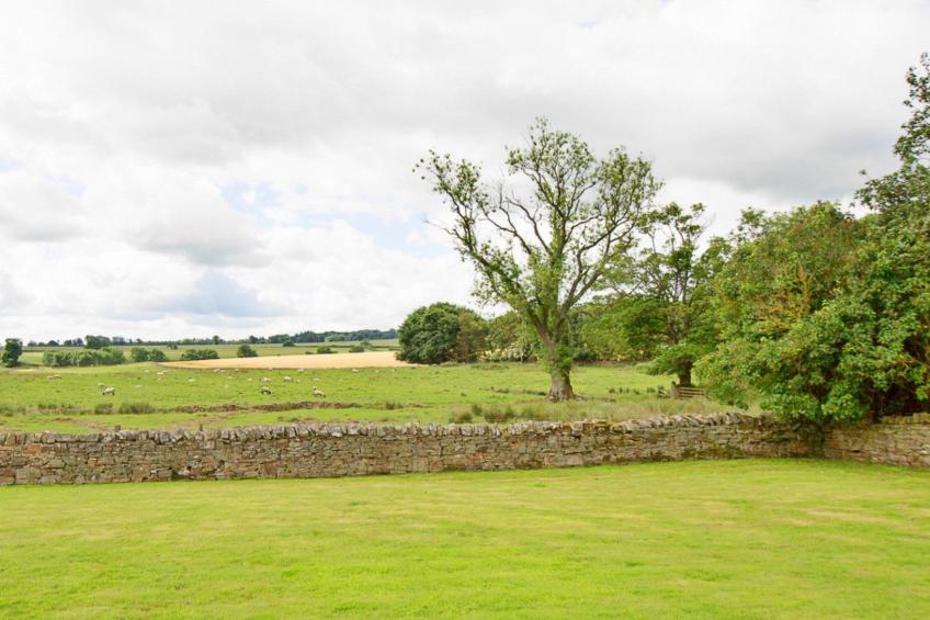 The Cottage, Shortflatt Farm - foto 5