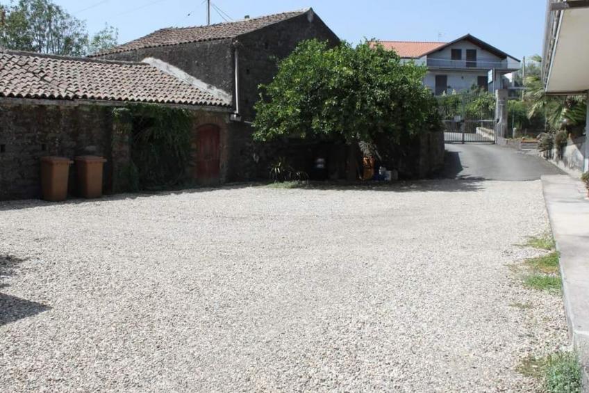 Le Palme in linera - foto 33