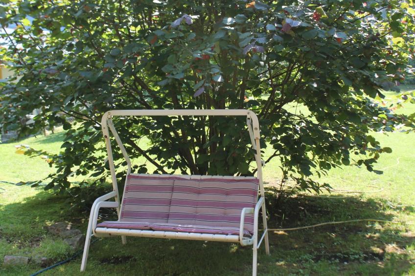 Bungalow Waldidyll - foto 22