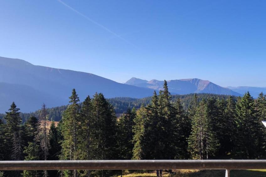 Le Carina N°4 - ST4 - foto 19