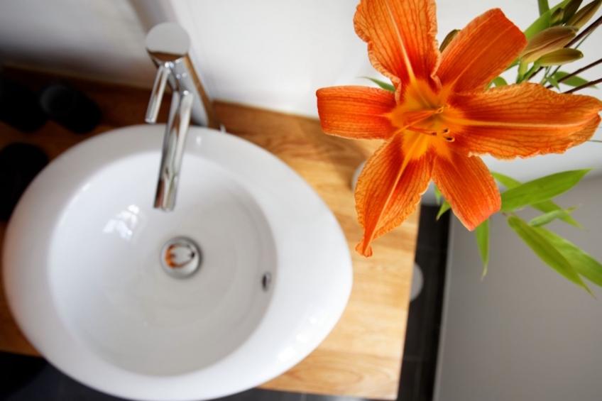 Domäne "Pavillon Mathéo" mit Infinity-Pool - foto 12