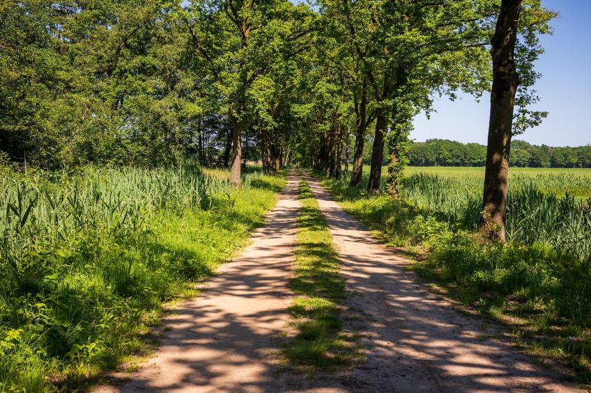 Vakantiehuisje 19 - foto 34