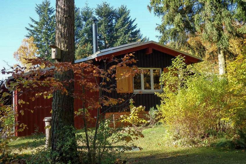 Waldhaus Harz - foto 10