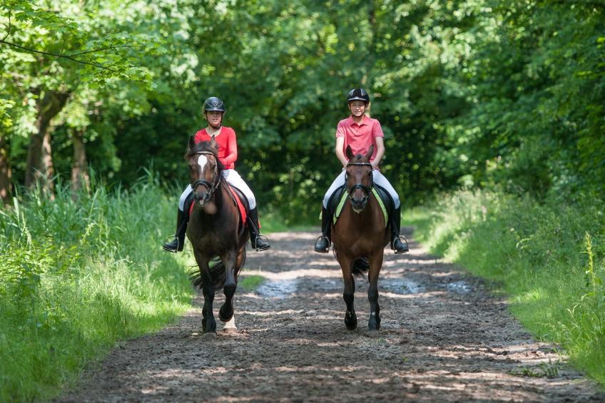 Villa Bel Air - foto 32