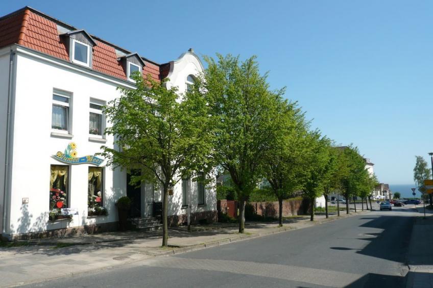 206423 - foto 2
