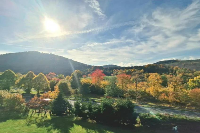 Am Bergelchen 60-B - foto 26