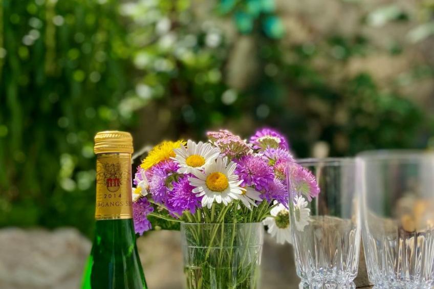 Cesa Vedla DOLOMITES - foto 17