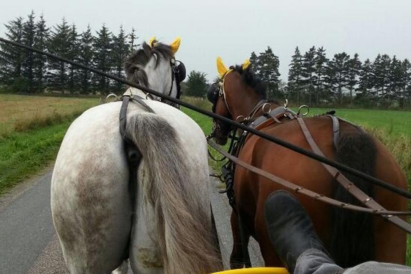 Westrich in guter Ausflugslage - foto 25