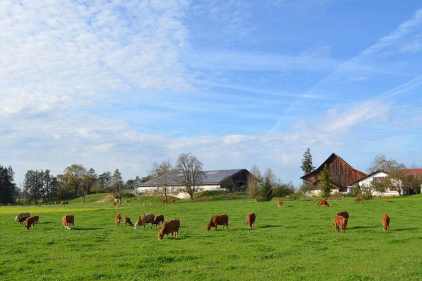 Wohnung "Rustique" - foto 12