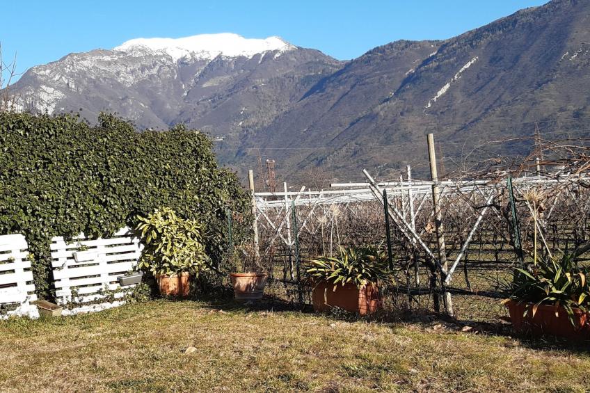 Casa Padronale nähe Arco - foto 4