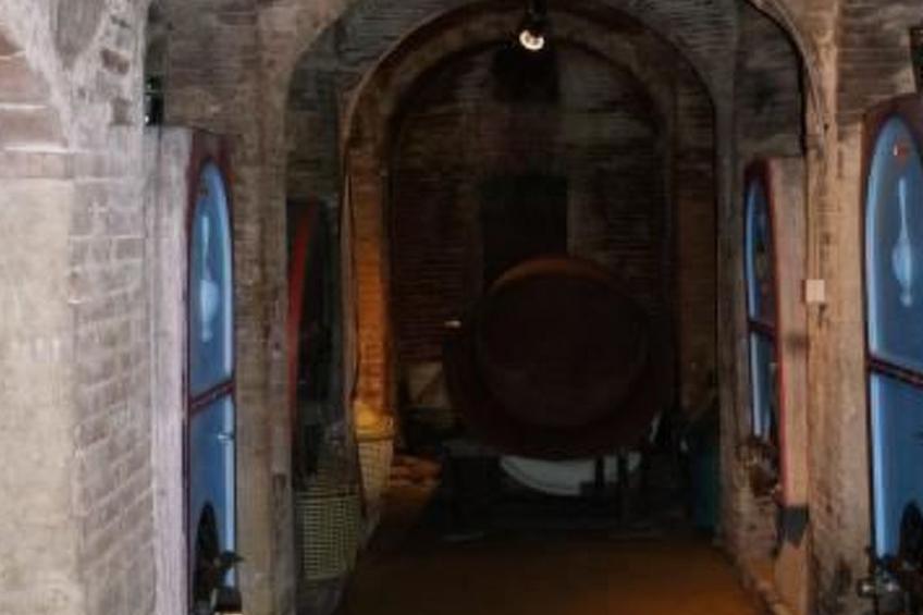 Wohnung 'Rose' mit Terrasse - foto 3