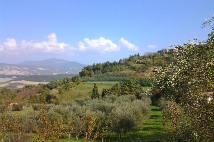 Villa La Felce - foto 34