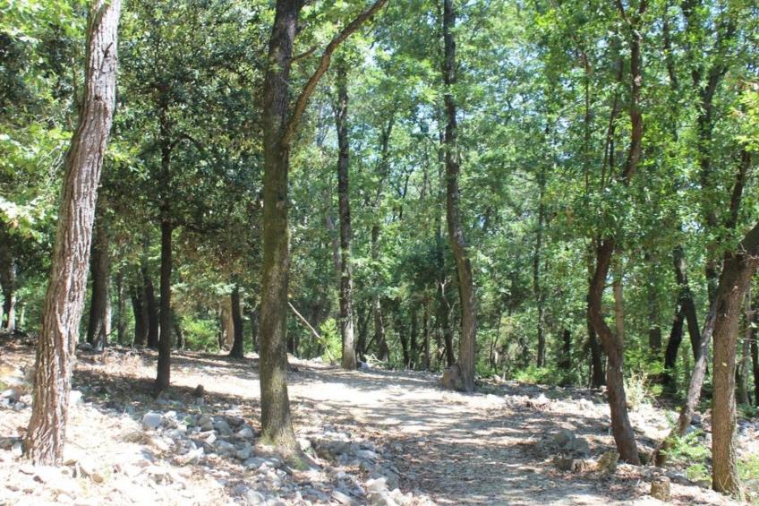 Zypressen, ein Haus im Wald an der ligurischen Riviera - foto 43