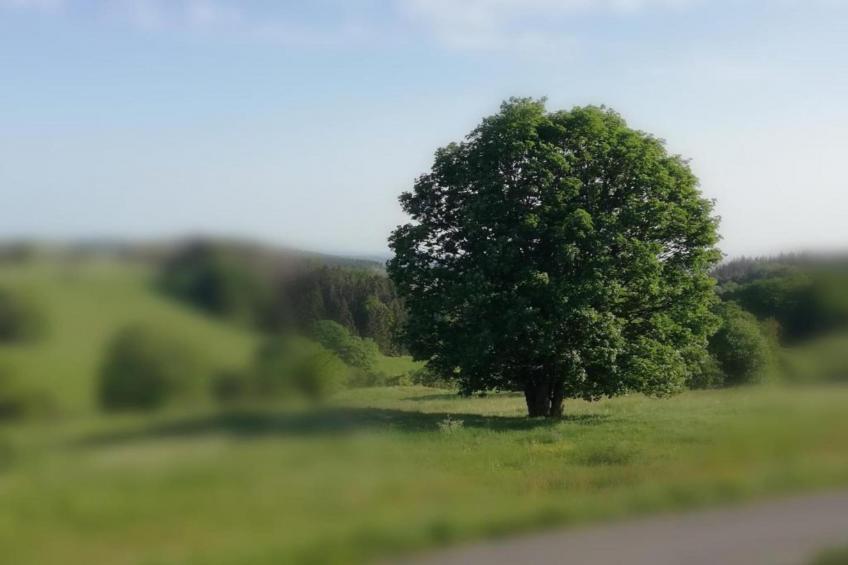 Altes Bootshaus 3 - foto 22