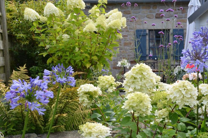 mit eigenem Garten und Grill - foto 6